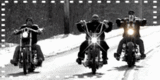bik.gif