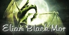 banniere-elian-blackmor.jpg