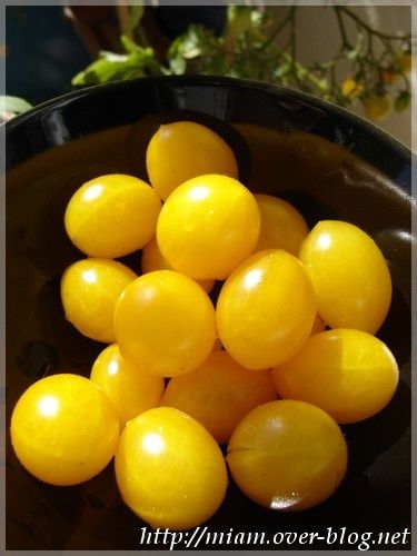 tomates-cerises-jaunes.JPG