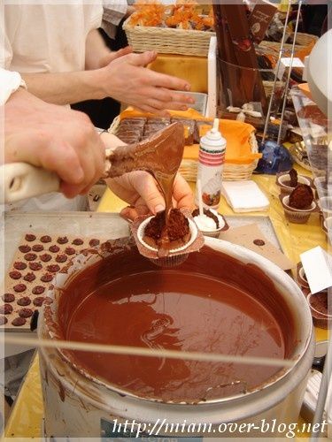 nozchocotropbon.JPG