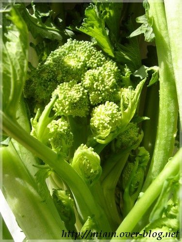 coeur-de-cima-di-rapa.JPG