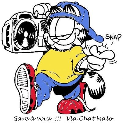 Chat-malo.jpg