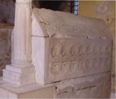 Sarco_Tel.jpg