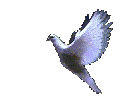 symbole-de-paix.gif