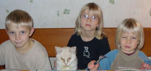 les3etbarnsk.jpg