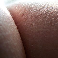 2250141436_453fdf39bf_m.jpg