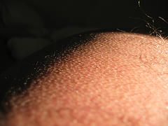 42270874_e203aee71e_m.jpg