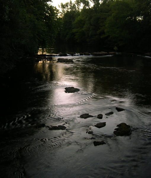DSCN1284.jpg