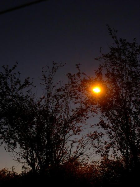 DSCN1300.jpg