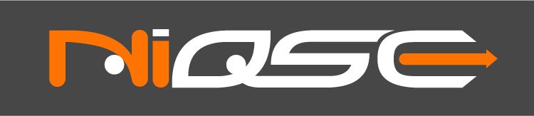 Logo-NIQSE-Grd-taille-fond-