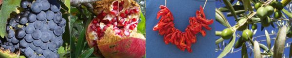 fruits-d-automne-2.jpg
