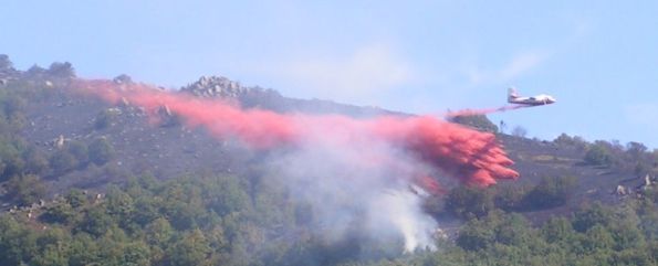 retardant-3.jpg