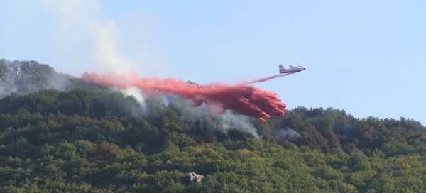 retardant.jpg