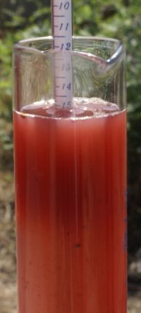 pesage-Pinot.jpg