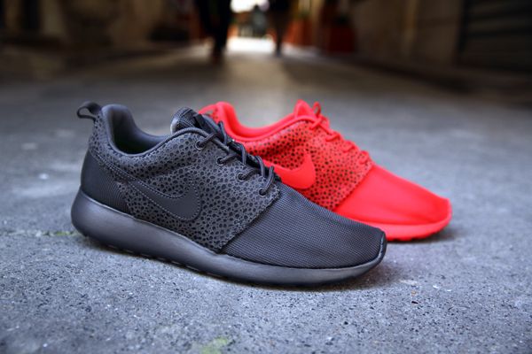 ROSHE-RUN-SAFARI 4168