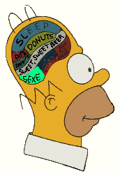 http://idata.over-blog.com/0/13/42/39//cerveau.gif