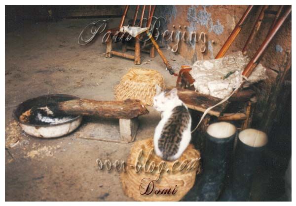 undefined