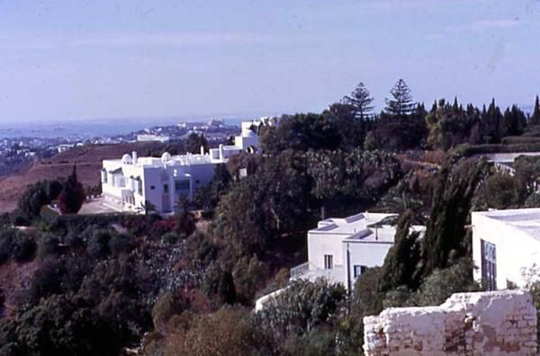 villas-carthage-1-copie-1.jpg