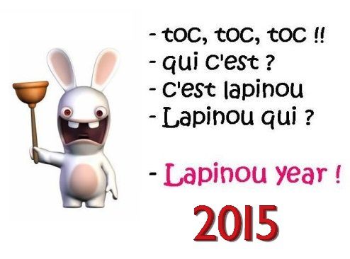 Lapinou-Bonne--Annee-2015-Lapins-Cretins.jpg