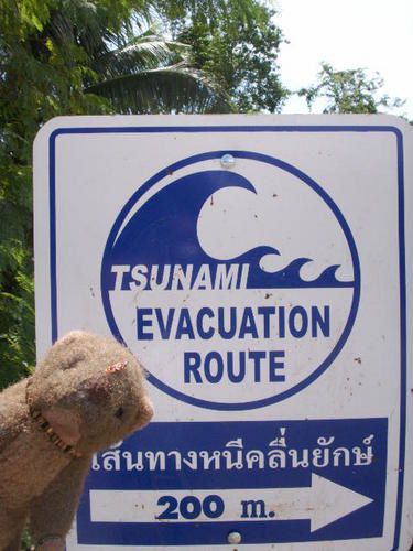 tsunami-thailand.JPG