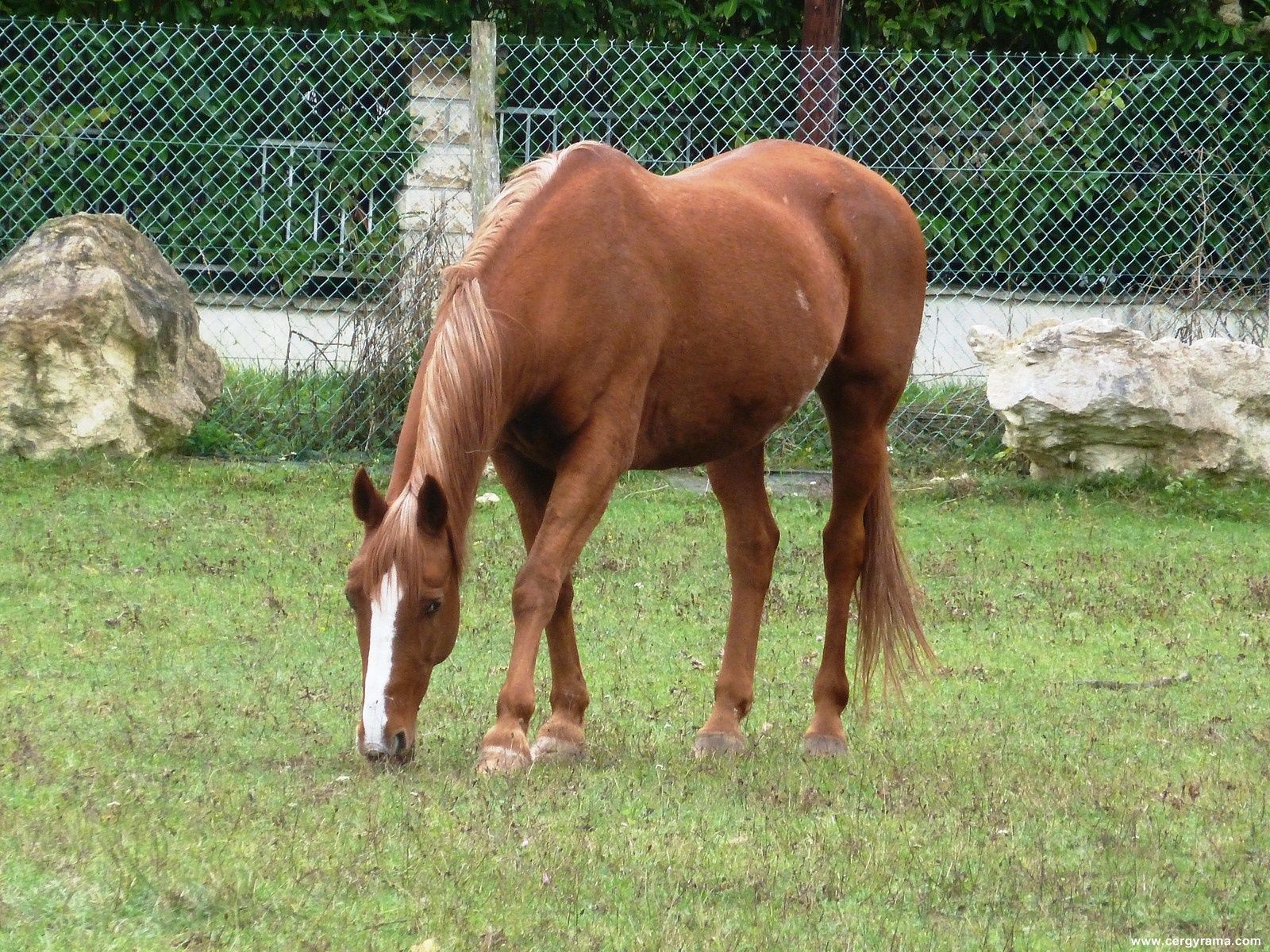 site de rencontre pontoise