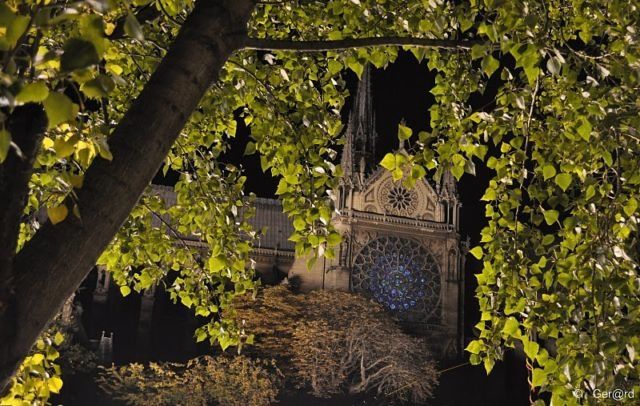 2010-10-02-Nuit-Blanche---Paris---Notre-Dame---34-c-Ger-rd.jpg