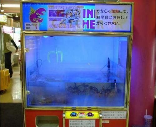 arcade-homard.jpg