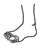 pied5.jpg