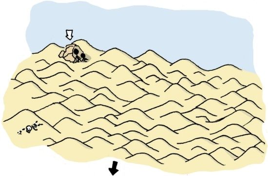 ledesertde2