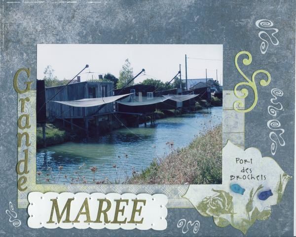 mar--e.jpg