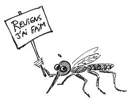 moustique.jpg