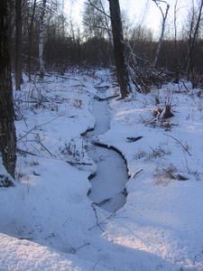 img_0029.jpg