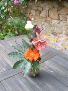 S4200005-copie-2.JPG