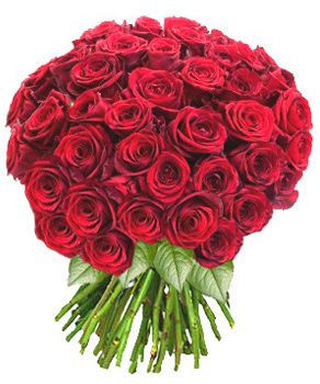 8-mars-bouquet-roses-rouges.sbig.jpg