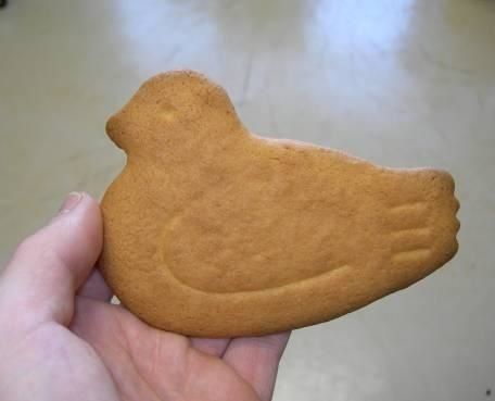 Ohh un pigeon !