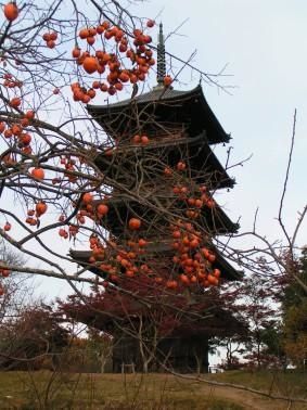 Plaqueminier et pagode