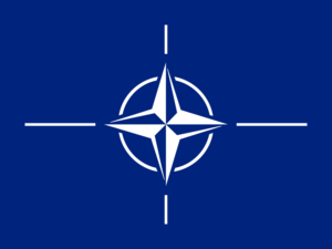 otan.png