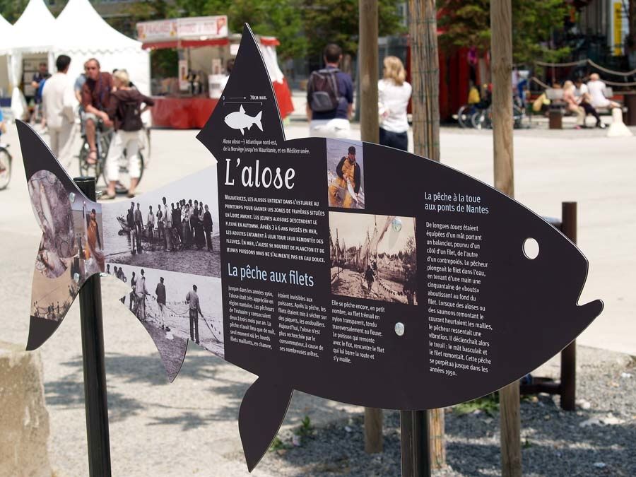 les rencontres du fleuves nantes