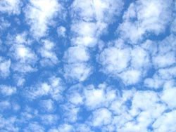 Altocumulus - par courtoisie de Wikipedia