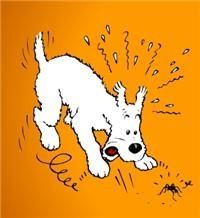 araign_e_milou.jpg