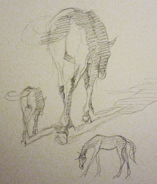 Croquis cheval