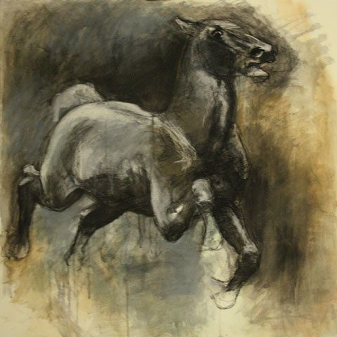 Cheval au galop emballé