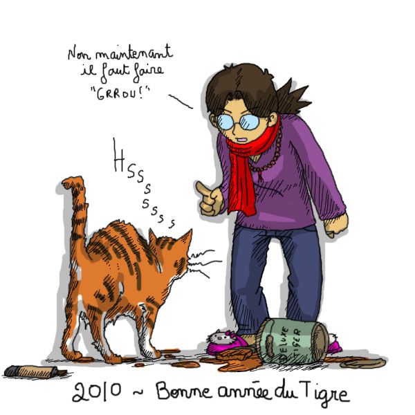 2010-nouvel-an-chinois-tigre.jpg