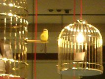 vitrine LV4a