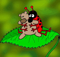 coccinelle013.gif