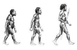 evolution.gif