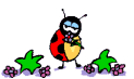 animaux-295.gif