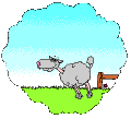 mouton sauteur
