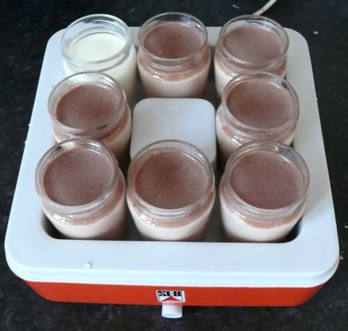 yaourts-chocolat.jpg