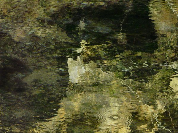 P1310104eau.jpg